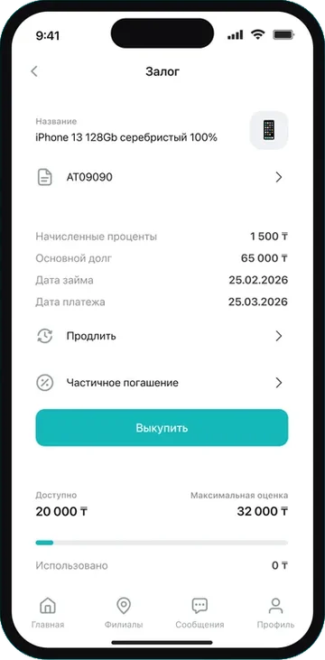 Экран приложения: информация о залоге